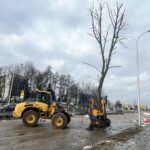 01.02.2023. Kielce. Przesadzanie drzew przy skrzyżowaniu ul. Karczówkowskiej i Jagiellońskiej / Fot. Jarosław Kubalski - Radio Kielce