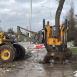 01.02.2023. Kielce. Przesadzanie drzew przy skrzyżowaniu ul. Karczówkowskiej i Jagiellońskiej / Fot. Jarosław Kubalski - Radio Kielce