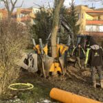 01.02.2023. Kielce. Przesadzanie drzew przy skrzyżowaniu ul. Karczówkowskiej i Jagiellońskiej / Fot. Jarosław Kubalski - Radio Kielce