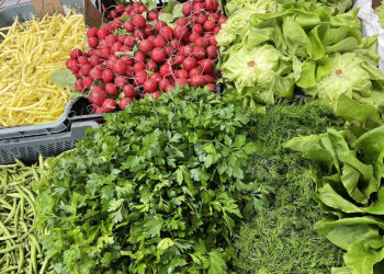 Świeże, zdrowe, polskie: jak wybierać najlepsze warzywa na początku sezonu?