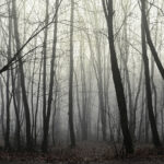 Fot. Wiktor Taszłow - Radio Kielce