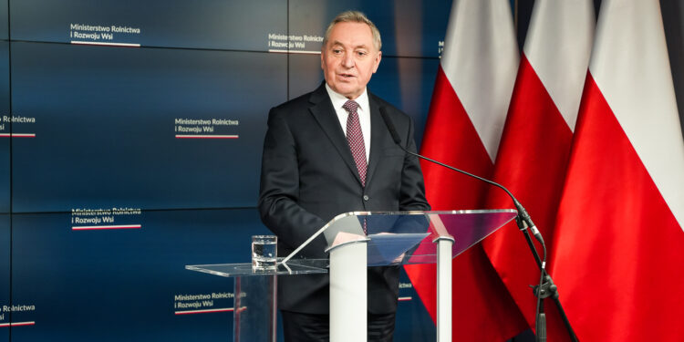 Będą dopłaty do sprzedanego zboża - Radio Kielce