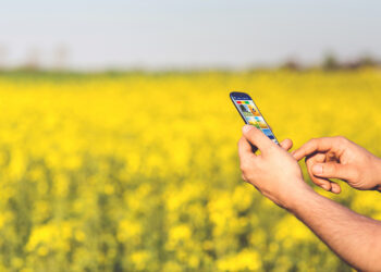 Dodatkowa funkcjonalność aplikacji „Mobilna ARiMR” - Radio Kielce