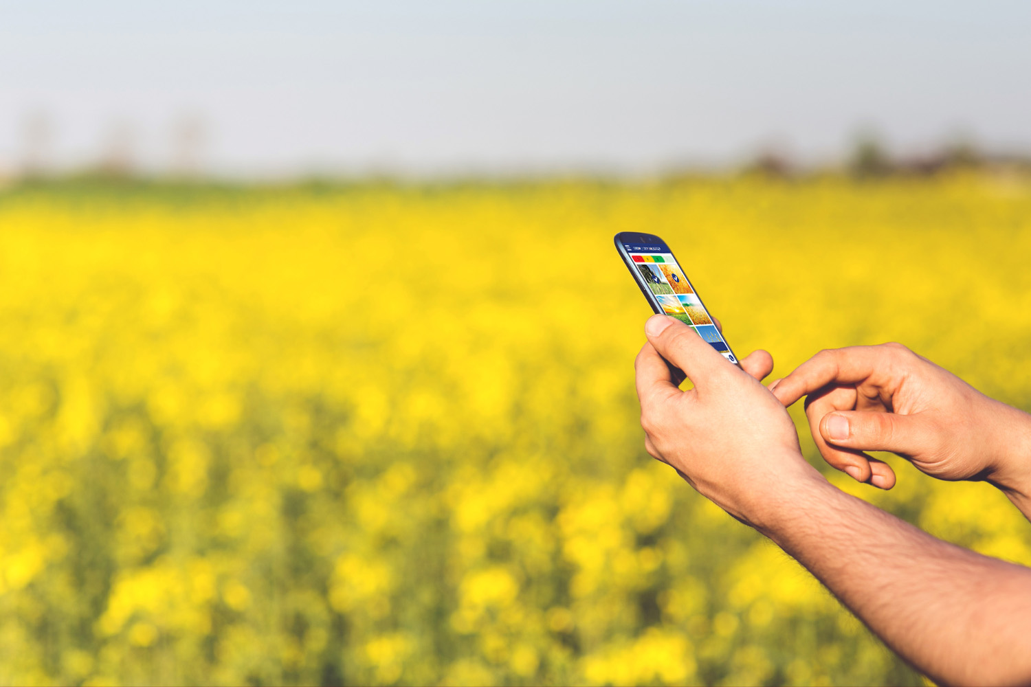 Dodatkowa funkcjonalność aplikacji „Mobilna ARiMR” - Radio Kielce Dodatkowa funkcjonalność aplikacji „Mobilna ARiMR” - Radio Kielce