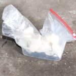 Fot. Policja Świętokrzyska