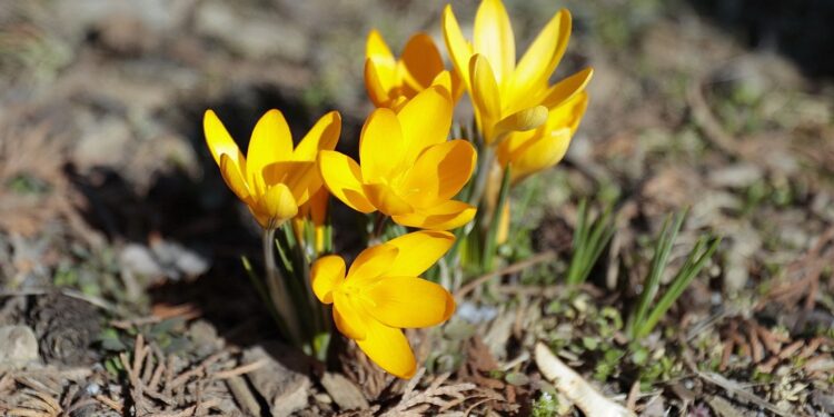 Ludowe przysłowia o marcu - Radio Kielce