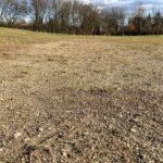 Zniszczone boiska straszą w kieleckim parku - Radio Kielce 22.02.2023. Kielce. Boisko w parku im. Adolfa Dygasińskiego / Fot. Daniel Czwartosz - Radio Kielce