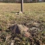 Zniszczone boiska straszą w kieleckim parku - Radio Kielce 22.02.2023. Kielce. Boisko w parku im. Adolfa Dygasińskiego / Fot. Daniel Czwartosz - Radio Kielce