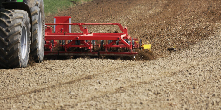 Powrót do dawnych metod uprawy – o bronowaniu - Radio Kielce Powrót do dawnych metod uprawy – o bronowaniu - Radio Kielce