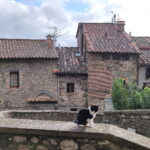 Muzyczne podróże. Z Florencji do Rawenny [ZDJĘCIA] - Radio Kielce