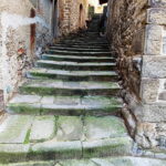 Muzyczne podróże. Z Florencji do Rawenny [ZDJĘCIA] - Radio Kielce