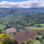 Muzyczne podróże. Z Florencji do Rawenny [ZDJĘCIA] - Radio Kielce