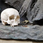 Muzyczne podróże. Z Florencji do Rawenny [ZDJĘCIA] - Radio Kielce