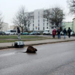 Fot. A. Olchówka - Radio Olsztyn