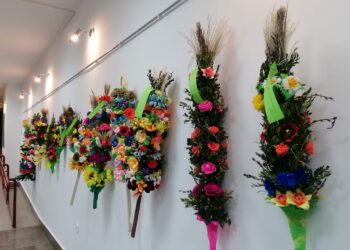 Niedziela Wierzbna, Kwietna czy Palmowa? - Radio Kielce Niedziela Wierzbna, Kwietna czy Palmowa?