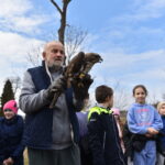 22.03.2023. Mstyczów. Myszołów, bocian i trzy jeże po rekonwalescencji wśród ludzi zostały dziś wypuszczone na wolność / Fot. Magdalena Galas-Klusek - Radio Kielce