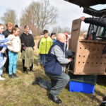 22.03.2023. Mstyczów. Myszołów, bocian i trzy jeże po rekonwalescencji wśród ludzi zostały dziś wypuszczone na wolność / Fot. Magdalena Galas-Klusek - Radio Kielce