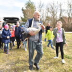 22.03.2023. Mstyczów. Myszołów, bocian i trzy jeże po rekonwalescencji wśród ludzi zostały dziś wypuszczone na wolność / Fot. Magdalena Galas-Klusek - Radio Kielce