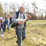 22.03.2023. Mstyczów. Myszołów, bocian i trzy jeże po rekonwalescencji wśród ludzi zostały dziś wypuszczone na wolność / Fot. Magdalena Galas-Klusek - Radio Kielce