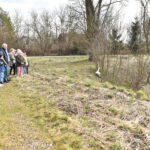 22.03.2023. Mstyczów. Myszołów, bocian i trzy jeże po rekonwalescencji wśród ludzi zostały dziś wypuszczone na wolność / Fot. Magdalena Galas-Klusek - Radio Kielce