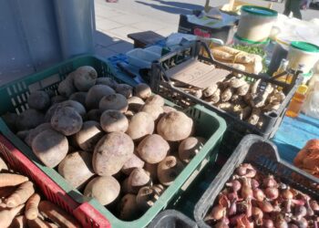 Busko-Zdrój. Targowisko przy ul. Stawowej / Fot. Marta Gajda-Kruk - Radio Kielce