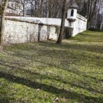 Wiosna nadchodzi, ale niezbyt szybkimi krokami - Radio Kielce 16.03.2023. Kielce. Krokusy w Parku Miejskim w Kielcach / Fot. Jarosław Kubalski – Radio Kielce