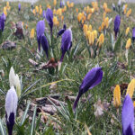 Fot. Jarosław Kubalski – Radio Kielce