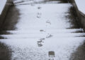Ślady na śniegu zdradziły poszukiwanego przez policję alimenciarza