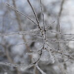 Fot. Wiktor Taszłow - Radio Kielce