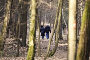 W tym roku Wigilia, przypadająca w niedzielę handlową - będzie dniem niepracującym