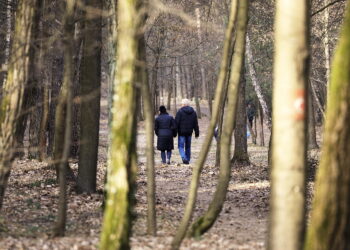 W tym roku Wigilia, przypadająca w niedzielę handlową - będzie dniem niepracującym