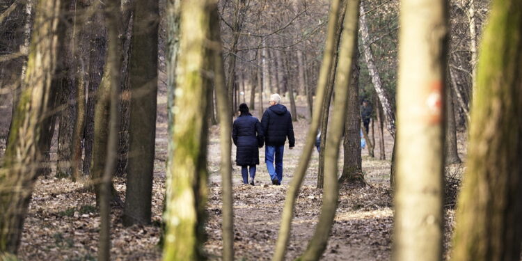 W tym roku Wigilia, przypadająca w niedzielę handlową - będzie dniem niepracującym