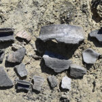 Skarby na placu budowy obwodnicy