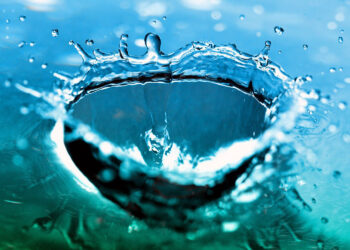 Światowy Dzień Wody 2023 i jej ochrona w rolnictwie - Radio Kielce