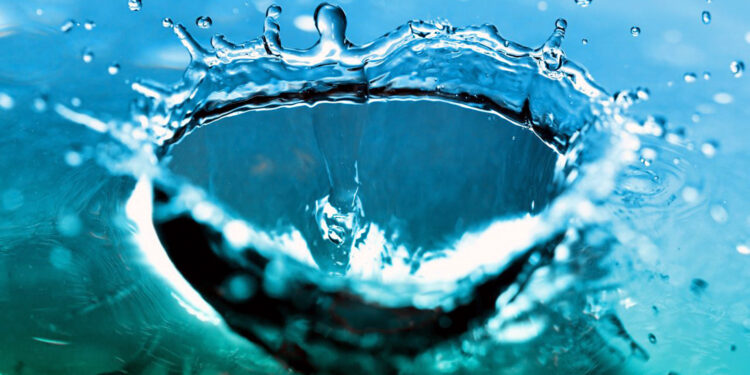 Światowy Dzień Wody 2023 i jej ochrona w rolnictwie - Radio Kielce