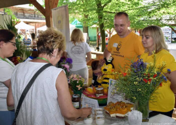Warto docenić kaszę gryczaną. Nasz rolnik wyjaśnia dlaczego - Radio Kielce