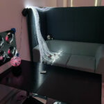 06.03.2023. Jędrzejów. Środowiskowy Dom Samopomocy / Fot. Daniel Czwartosz – Radio Kielce