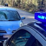 Sarny przyczyną wypadków na świętokrzyskich drogach - Radio Kielce 13.04.2023. Szałas. Potrącenie sarny / źródło: policja