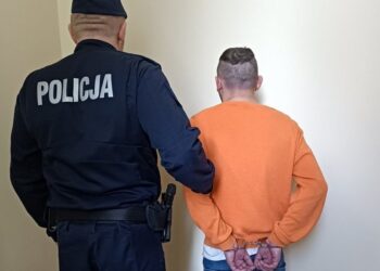 Na zdjęciu: zatrzymany mężczyzna podejrzany o kradzież rozbójniczą / Fot. świętokrzyska policja