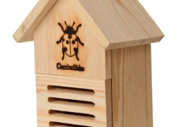 Domki dla pszczół murarek, motyli, biedronek - Radio Kielce