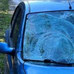 Sarny przyczyną wypadków na świętokrzyskich drogach - Radio Kielce 13.04.2023. Szałas. Potrącenie sarny / źródło: policja