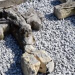 29.04.2023. Skalbmierzu. Lapidarium - miejsce, w którym prezentowane są ocalone elementy mocno zniszczonych, ale cennych rzeźb, pomników, których nie da się odtworzyć w całości / Fot. UMiG Skalbmierz