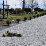 29.04.2023. Skalbmierzu. Lapidarium - miejsce, w którym prezentowane są ocalone elementy mocno zniszczonych, ale cennych rzeźb, pomników, których nie da się odtworzyć w całości / Fot. UMiG Skalbmierz