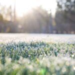 Powrót przymrozków. Synoptycy nie maja złudzeń