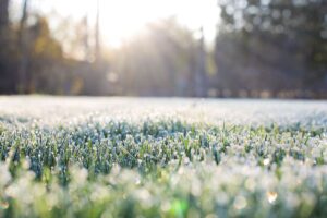 Powrót przymrozków. Synoptycy nie maja złudzeń