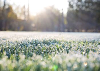 Powrót przymrozków. Synoptycy nie maja złudzeń