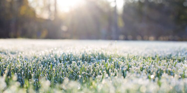 Powrót przymrozków. Synoptycy nie maja złudzeń