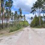 26.04.2023. Fałków. Władze gminy oddały hołd Rodzinie Olszewskich / Fot. Magdalena Galas-Klusek - Radio Kielce