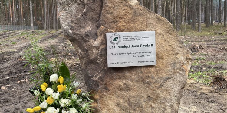 W Wąsoszu posadzono las pamięci Jana Pawła II