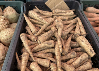 Końskie. Targowisko / Fot. Magdalena Galas-Klusek - Radio Kielce